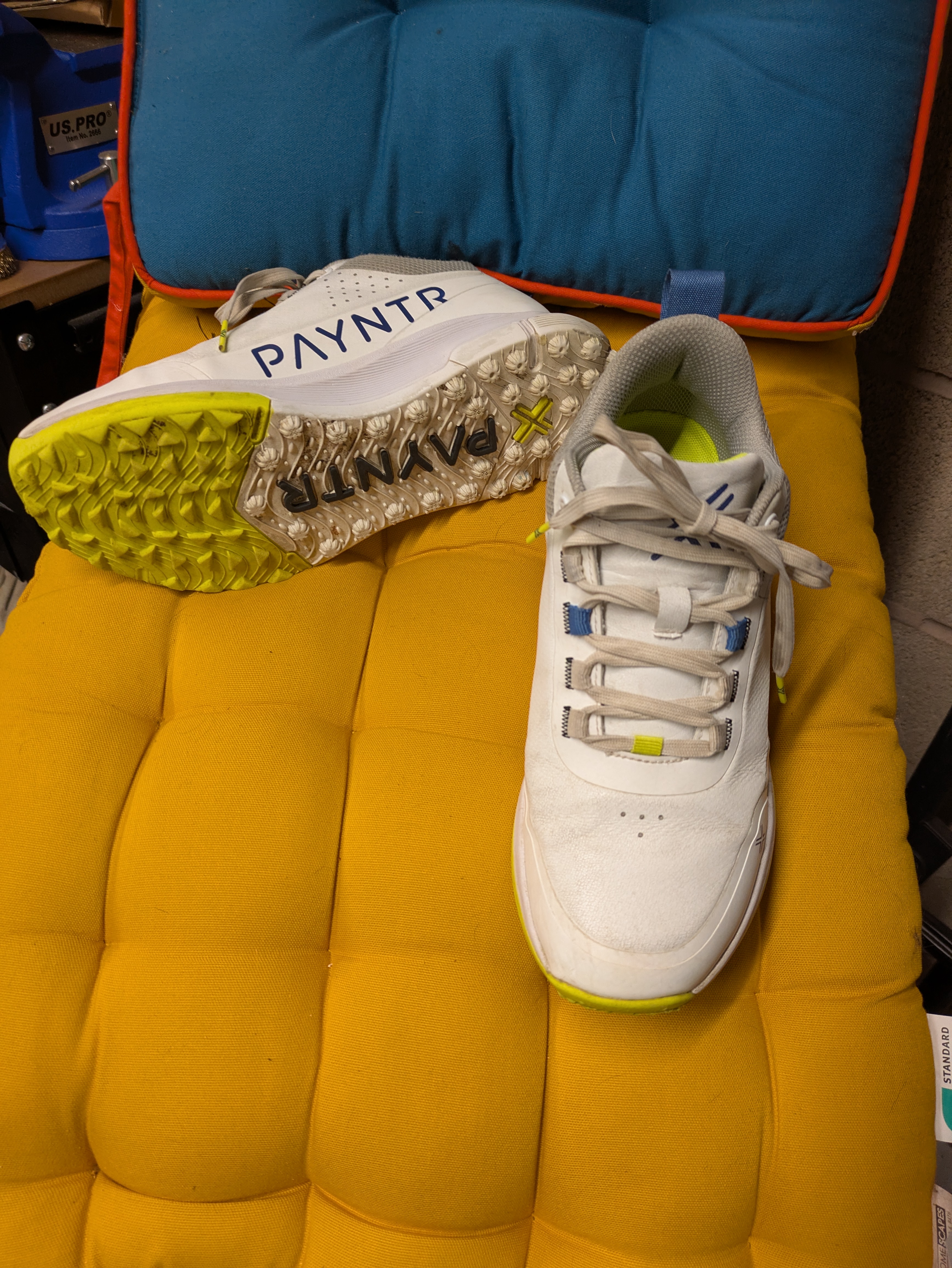 Payntr ProX Club Rubber cricket shoes 