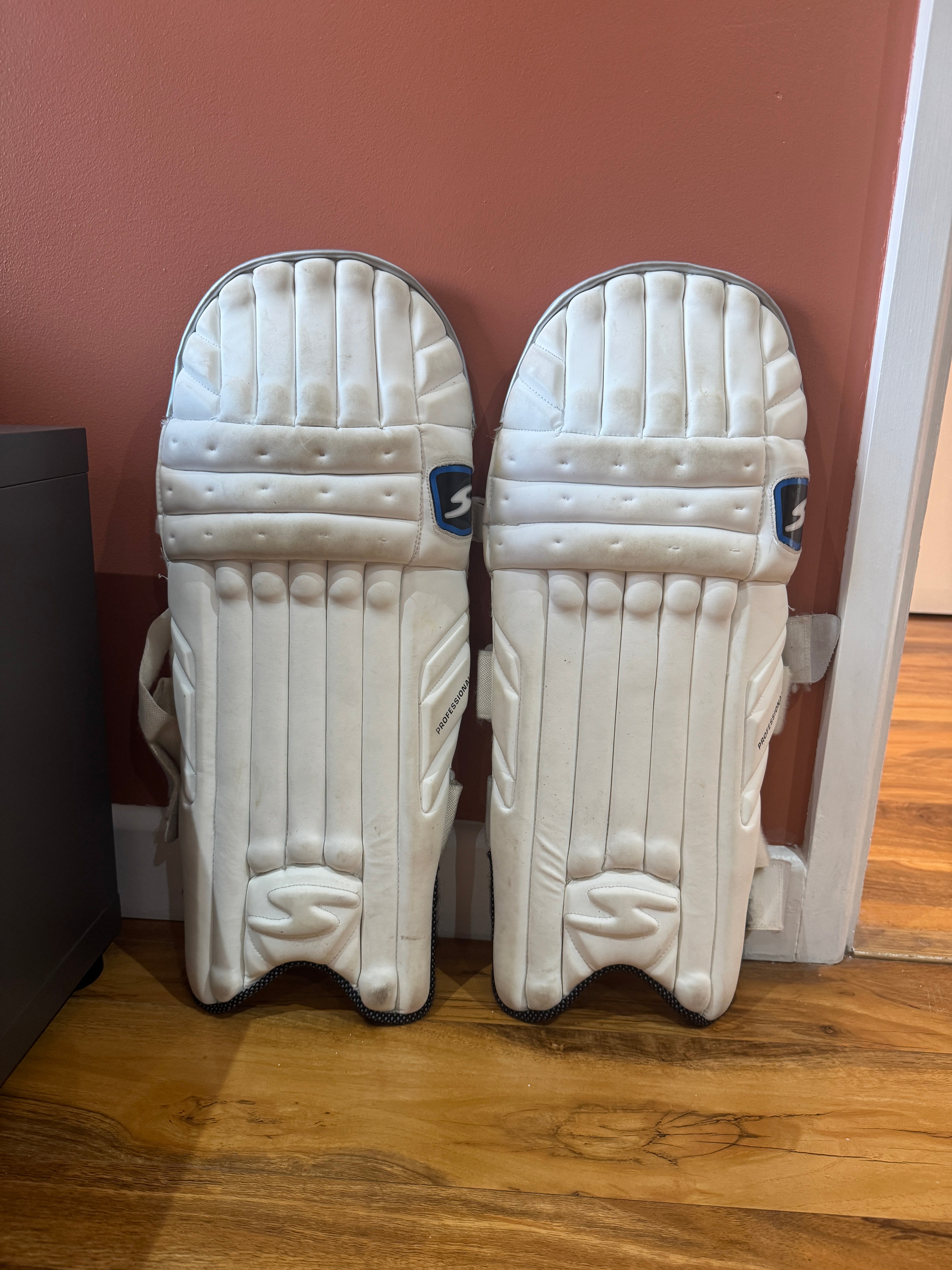 SS cricket pads